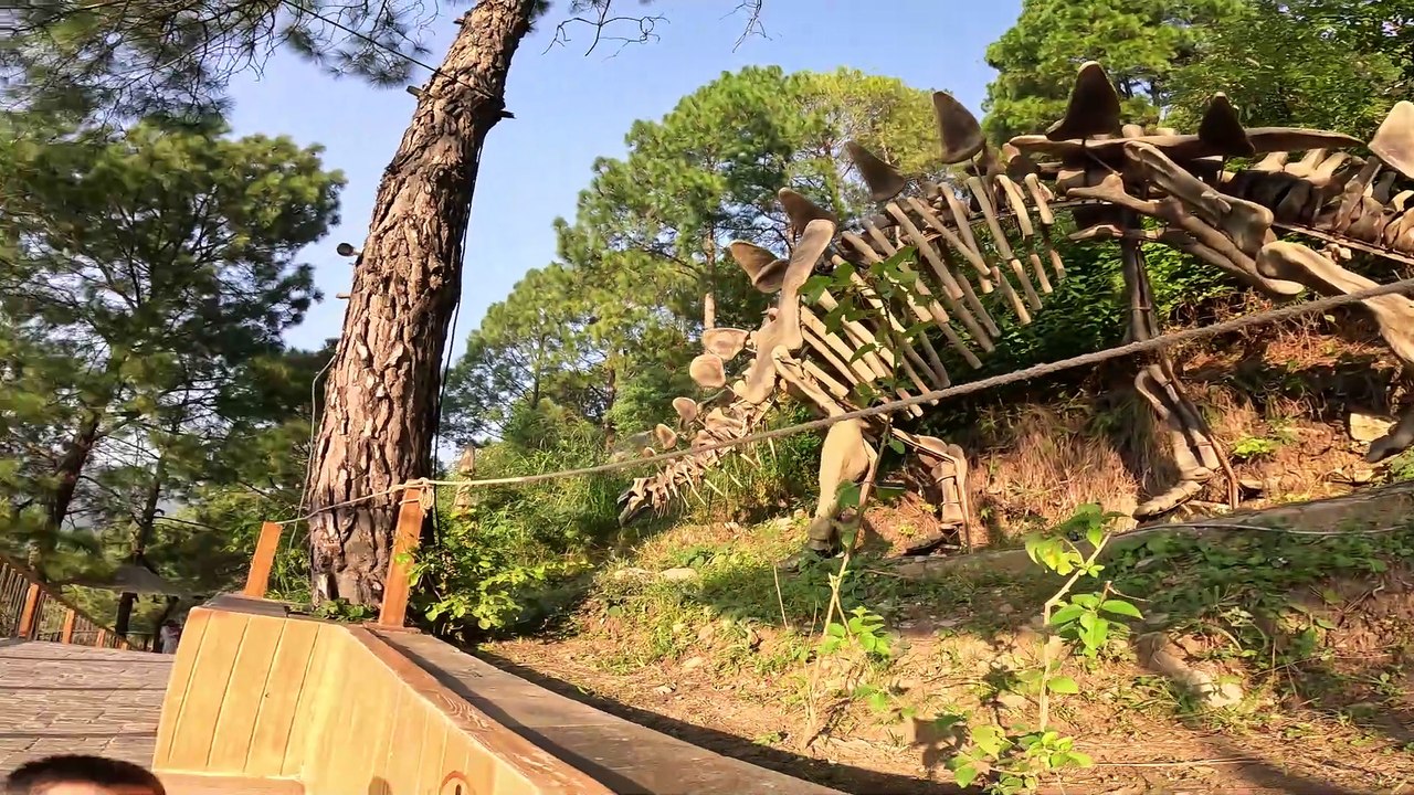DINO Skeleton found