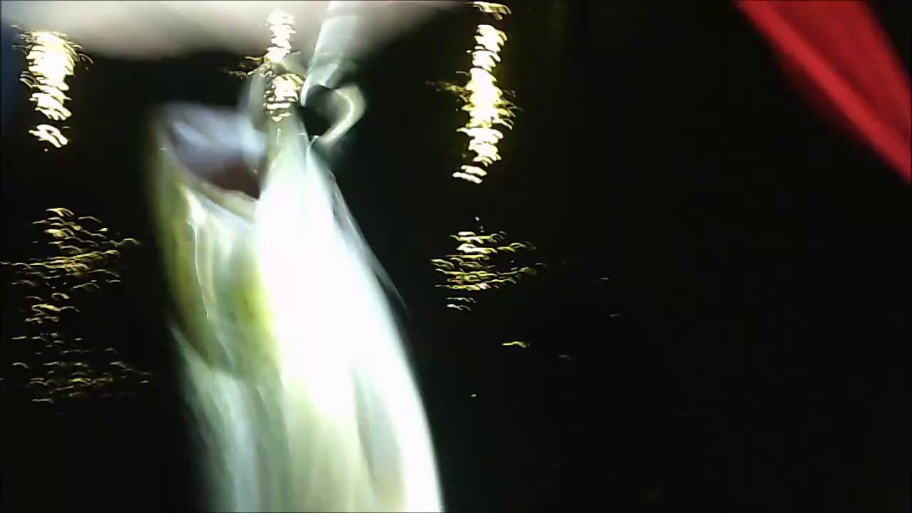 MCH 451 MONSTER FISH CAUGHT.