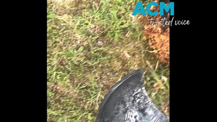 Hatch Pottery Kiln Christmas shop