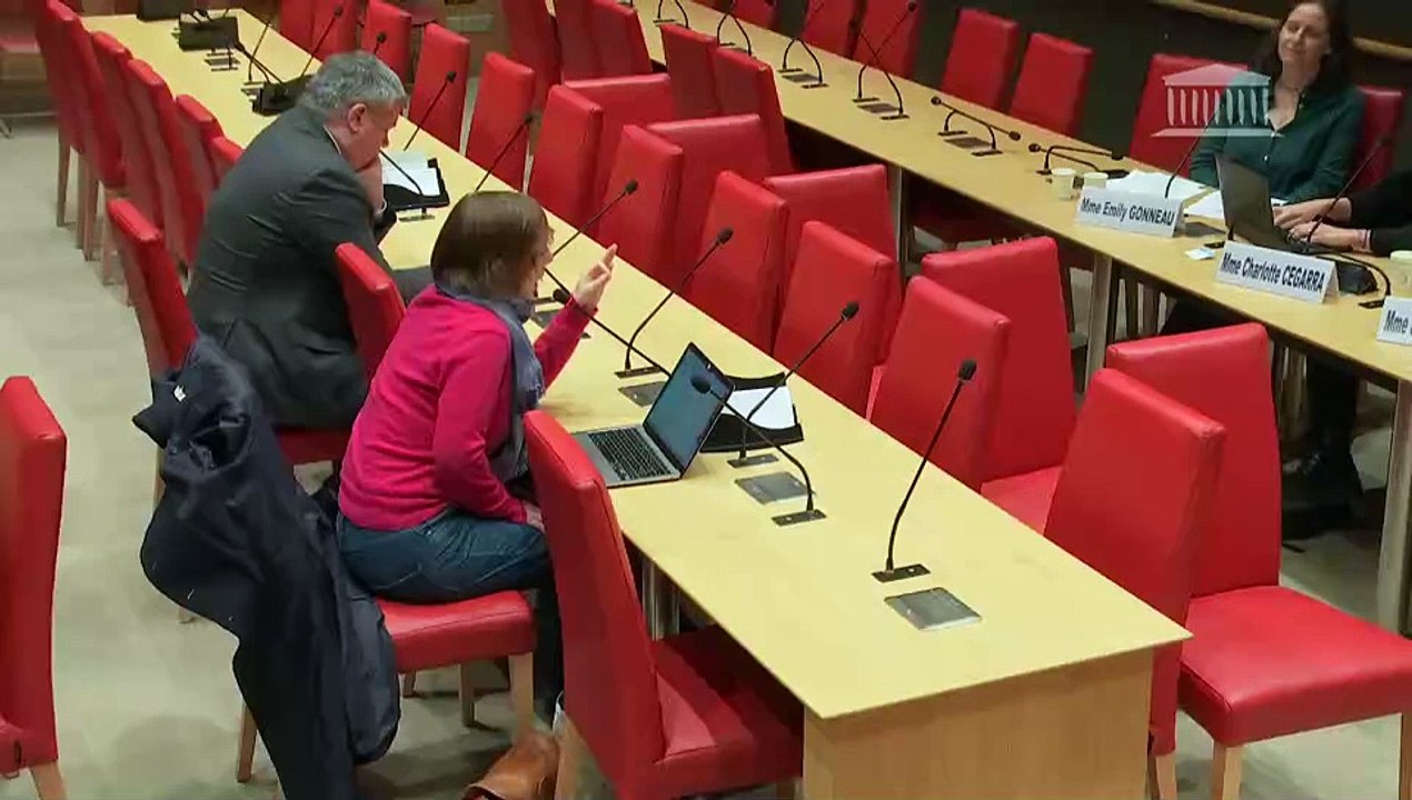 Violences commises dans les secteurs artistiques et médiatiques : Auditions diverses - Lundi 16 décembre 2024