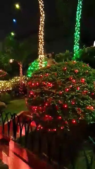 Christmas decoration