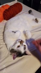 She thought about it, she definitely thought about it