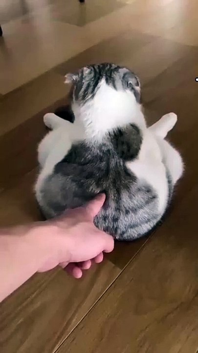 Soo Cuteee