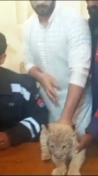 Rajab-Butt arrested police Waly bhi fan nikly