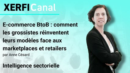 E-commerce BtoB : comment les grossistes réinventent leurs modèles face aux marketplaces et retailers [Anne Césard]