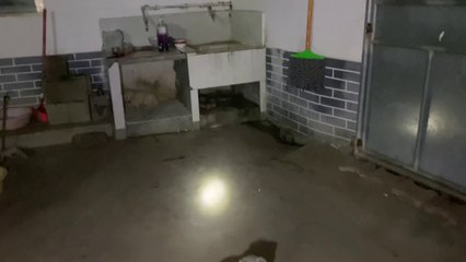 I'm truly astonished! A poor little dog 🐶 wandered into my home late at night and gave birth to her puppies. 🐶🐕🥰❤👍👍👍