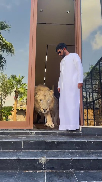 Lion Entry