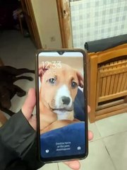 Testimonio de una vecina de Castellar-Oliveral que muestra su casa tras el paso de la DANA