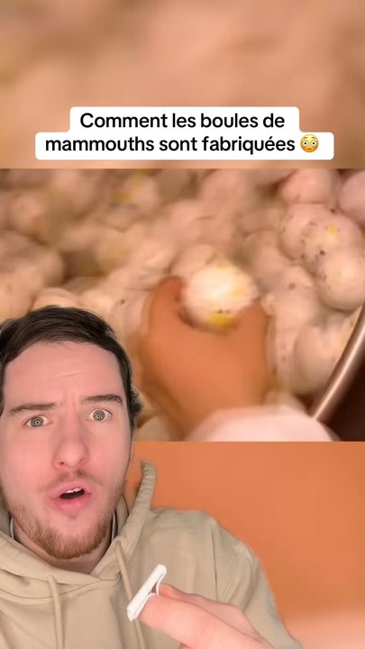 Comment les boules de mammouths sont fabriquées