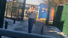 Video. Aspetta suo "figlio" all'uscita da scuola: in milioni pensano a uno scherzo quando lo vedono arrivare