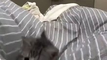i'm playing with my mom 😸