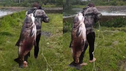 Pescador fisga peixe gigante em represa do PR e viraliza na web; veja