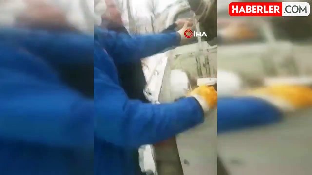 Sokak Köpeklerinin Saldırısına Uğrayan Yaban Keçisi Kurtarıldı