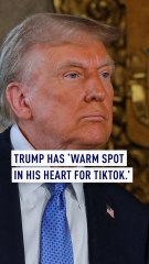 Trump has ‘warm spot in his heart for TikTok’