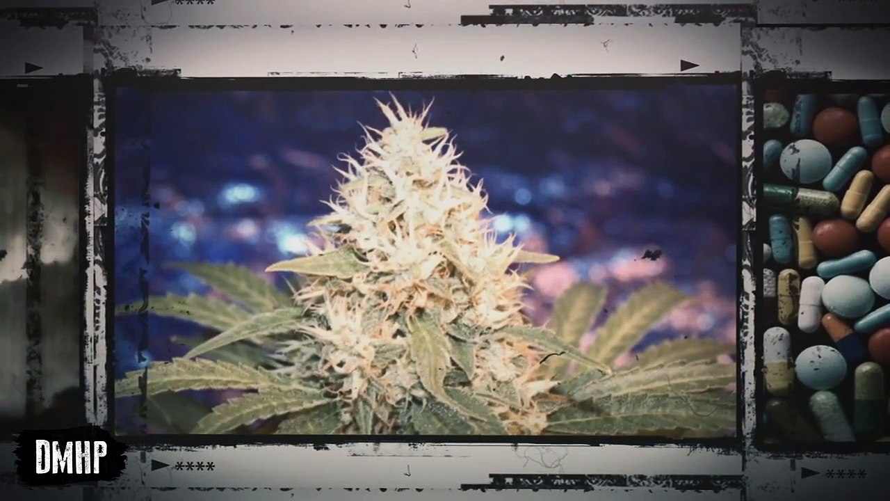 10 Craziest Drugs You've Never Heard Of