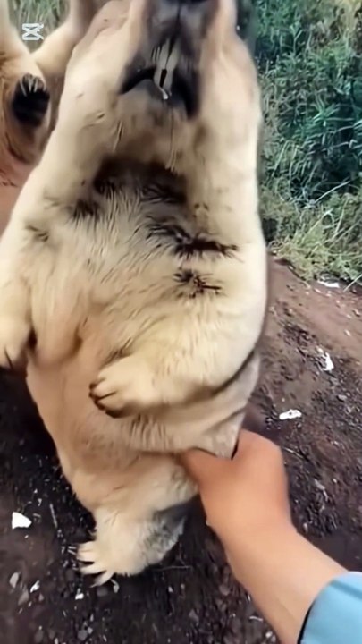 Wait for it 😂🤣
