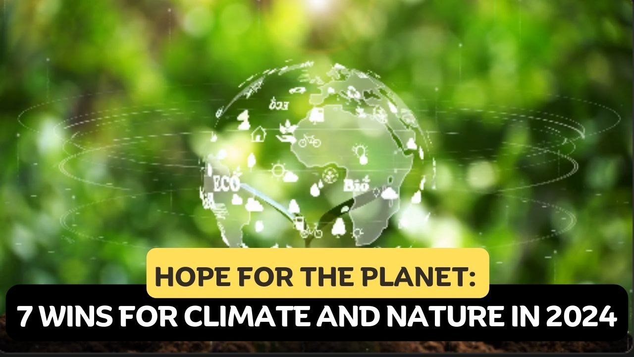 Hope for the Planet: 7 Wins for Climate and Nature in 2024
