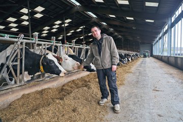 « J’utilise 800 kg de drêches de brasserie par jour pour mes vaches laitières »