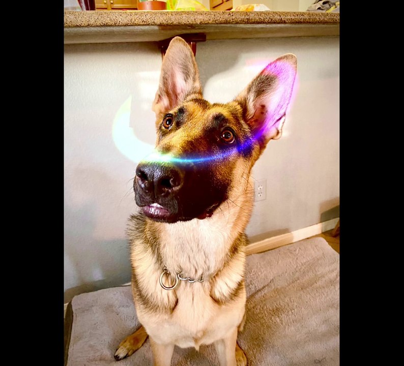 « LENNY La Liberté » Benjamin Laplace feat NouX ! Version « Radio edit » de Lenny. Vidéo officielle.