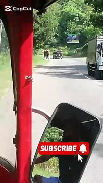 Elephants 2 #Elephants #Funny Animal#Sri Lanka #Asiancountry #Asia