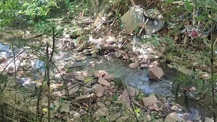 Criança se afoga em riacho em Cascavel