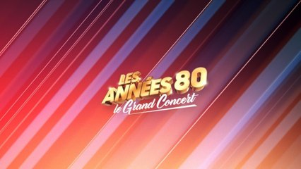 Les années 80, le grand concert