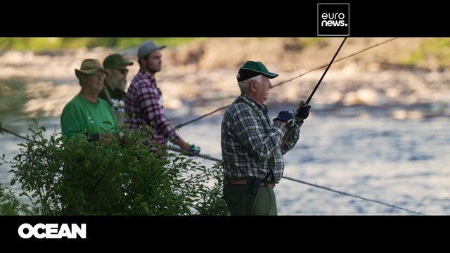 Los esfuerzos respaldados por la UE para proteger las especies salvajes amenazadas en Suecia