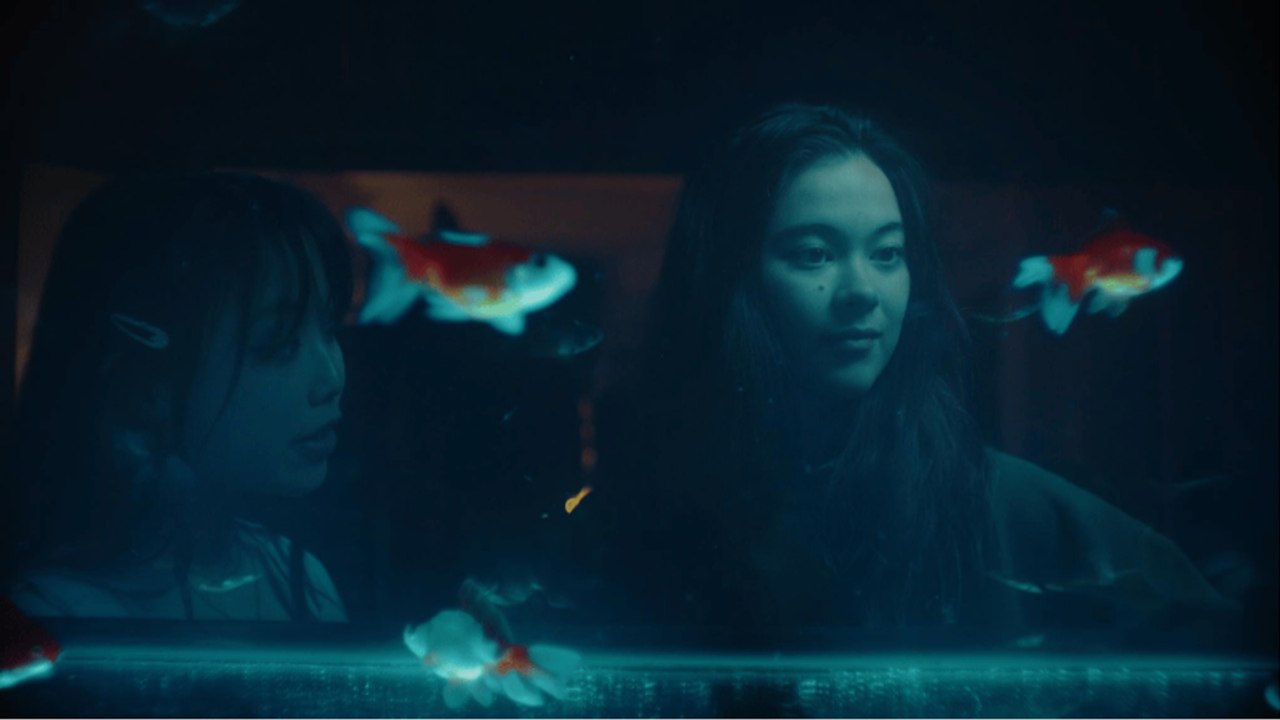 Lucky Fish | Emily May Jampel | EST Selects