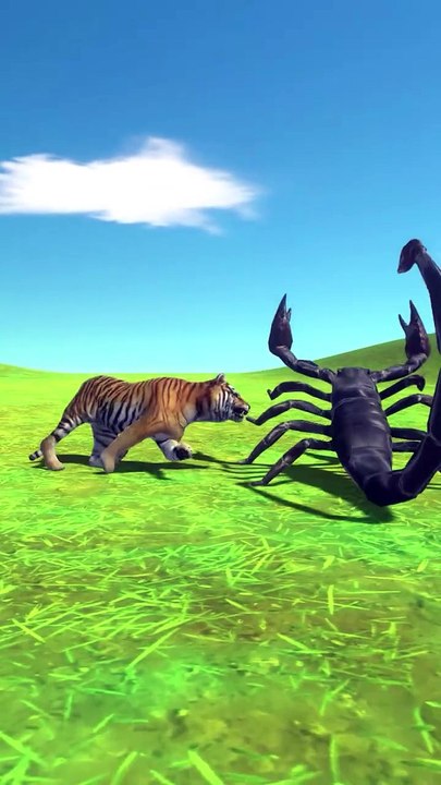 Animal Fusion 3D Animation Animal short video