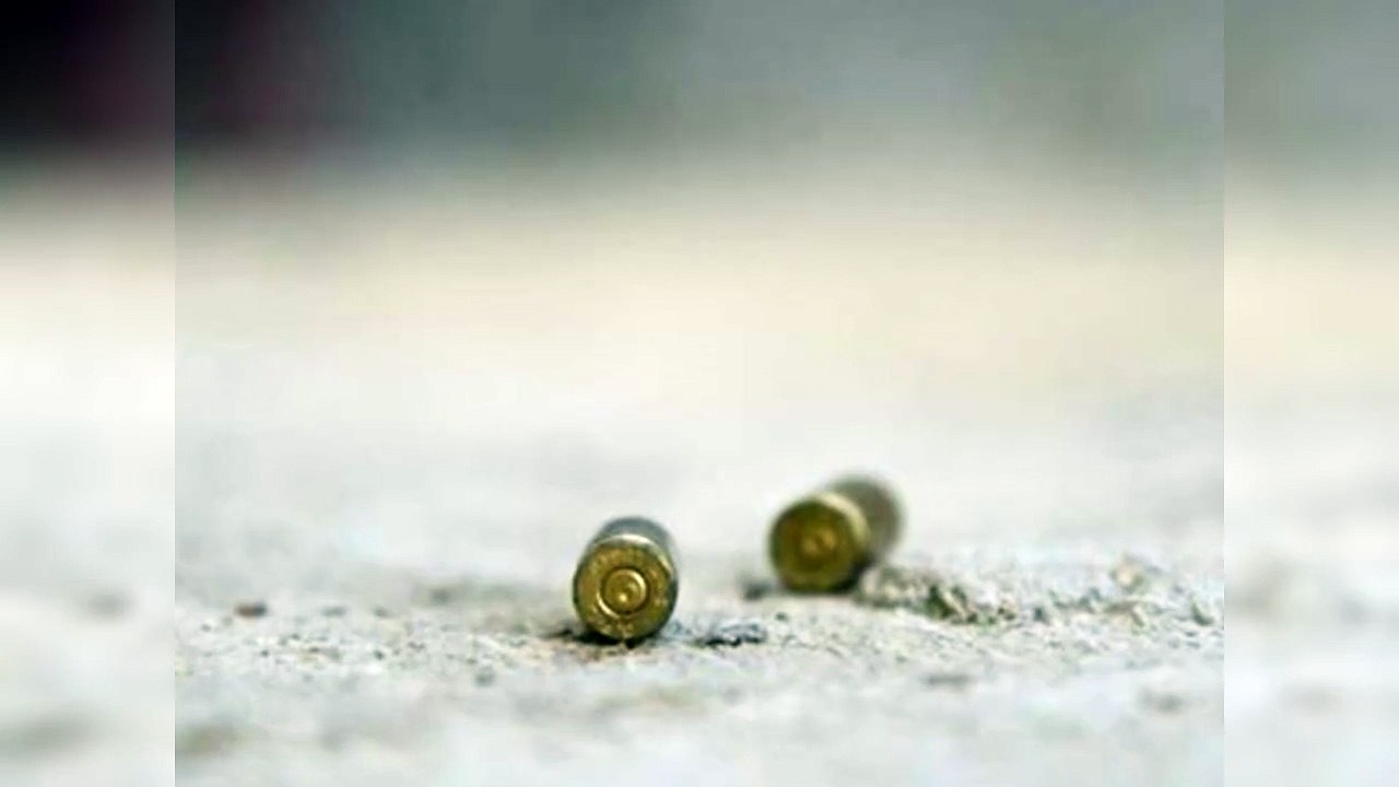 Evolución de muertes de policías dominicanos a manos de delincuencia