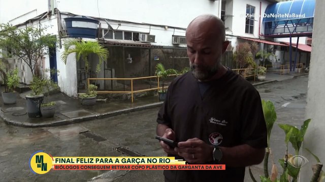 Final feliz para garça no Rio: biólogos conseguem retirar plástico da garganta da ave