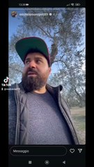 buche per le nuove piante degli ulivi