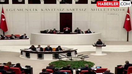 DEM Partili Doğan MHP'li Celal Adan'dan izin alarak TBMM'yi Kürtçe selamladı