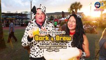 Don't Miss Oviedo, FL's Most Paw-some Event - Bark and Brew 2024!