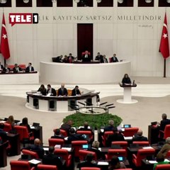 MHP'den DEM Parti'ye Meclis'te 'Kürtçe selam' izni: Diyebilirsiniz tabii