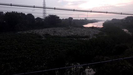 Sungai Bungko Tertutup Sampah