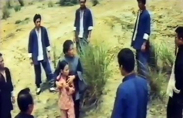 la-venganza-del-dragon-negro-by-wong-tin-lam-1973