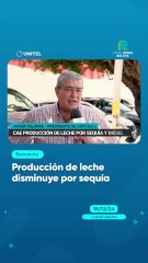 Producción de leche disminuye por sequía