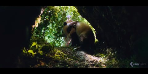 Moon, der Panda | movie | 2025 | Official Clip
