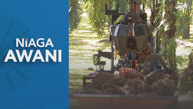 Malaysia kekalkan duti eksport minyak sawit 10 peratus pada Januari