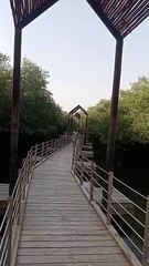 Just For Laughs Gags – Features prank videos and f