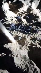 Cena inusitada com tartarugas marinhas é registrada por morador de Itacimirim