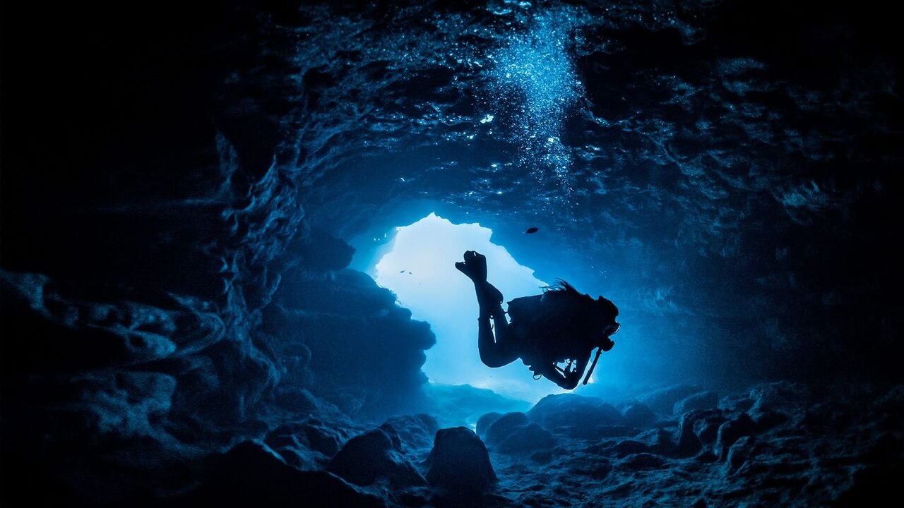 Les grandes énigmes de l'Histoire