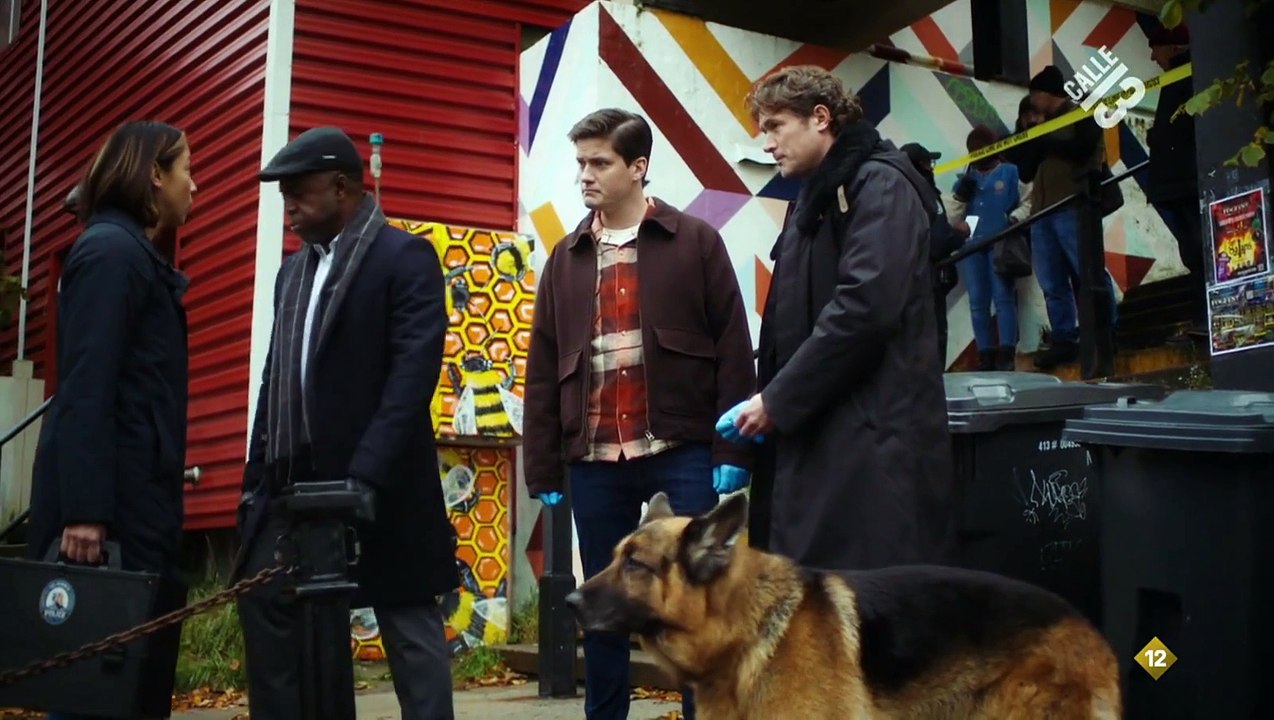 Hudson & Rex HDTV 1080p 6x16 Rex, drogas y rock and roll  (Castellano)