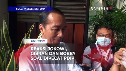 Reaksi Jokowi, Gibran dan Bobby Nasution Dipecat oleh PDIP
