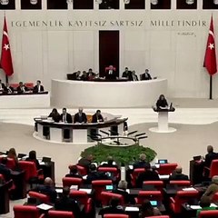 DEM'li vekil MHP'li isimden izin alıp TBMM kürsüsünden Kürtçe seslendi