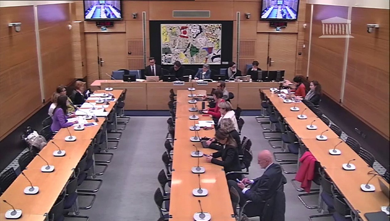 Violences commises dans les secteurs artistiques et médiatiques : Audition de la mission interministérielle sur les VSS dans les relations de pouvoir ou d’autorité ; Table ronde réunissant des critiques de cinéma - Mardi 17 décembre 2024