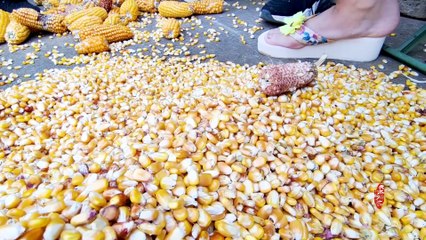How to make popcorn (Look at ARUIs secret weapon) Muslim Chinese Food   halal food recipes爆米花