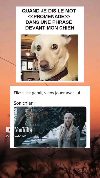 😂
