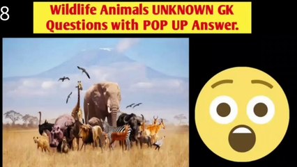 General Knowledge Questions And Answers  For Full Knowledge . 🌹 #gk # quiz #english